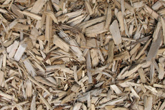 biomass boilers Rhosdylluan