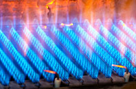 Rhosdylluan gas fired boilers